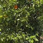 2 Bedroom In Διαμέρισμα