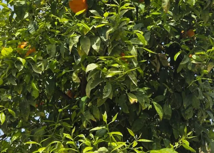 2 Bedroom In Appartement