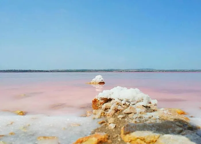 2 Bedroom In Torrevieja